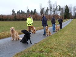 Clic pour agrandir l'image (1024x768 pixels; 174 KB)