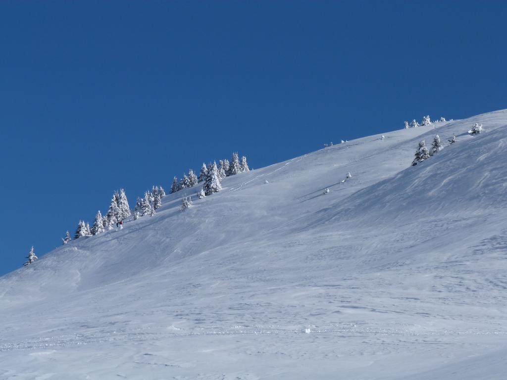 Clic pour l'image suivante