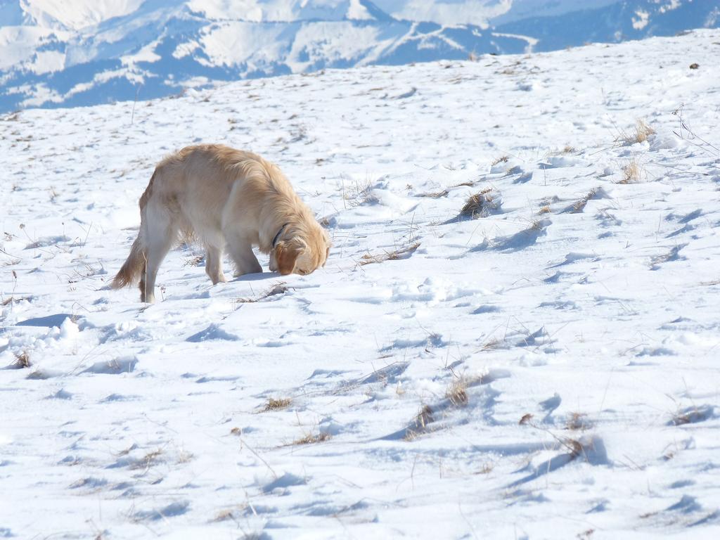 Clic pour l'image suivante