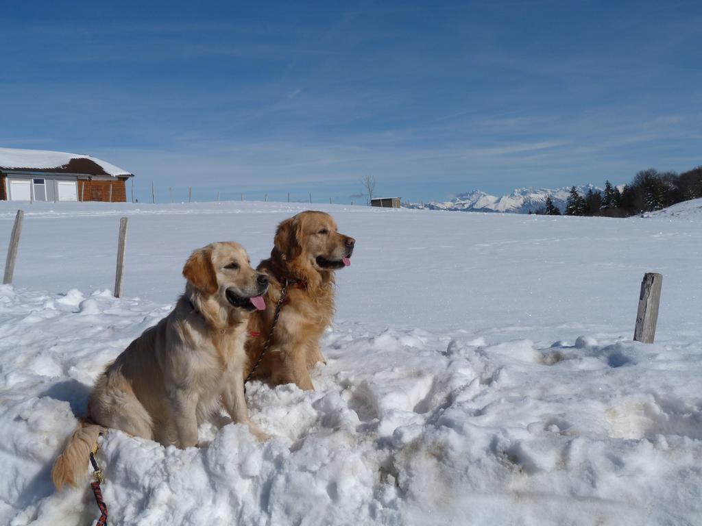 Clic pour l'image suivante