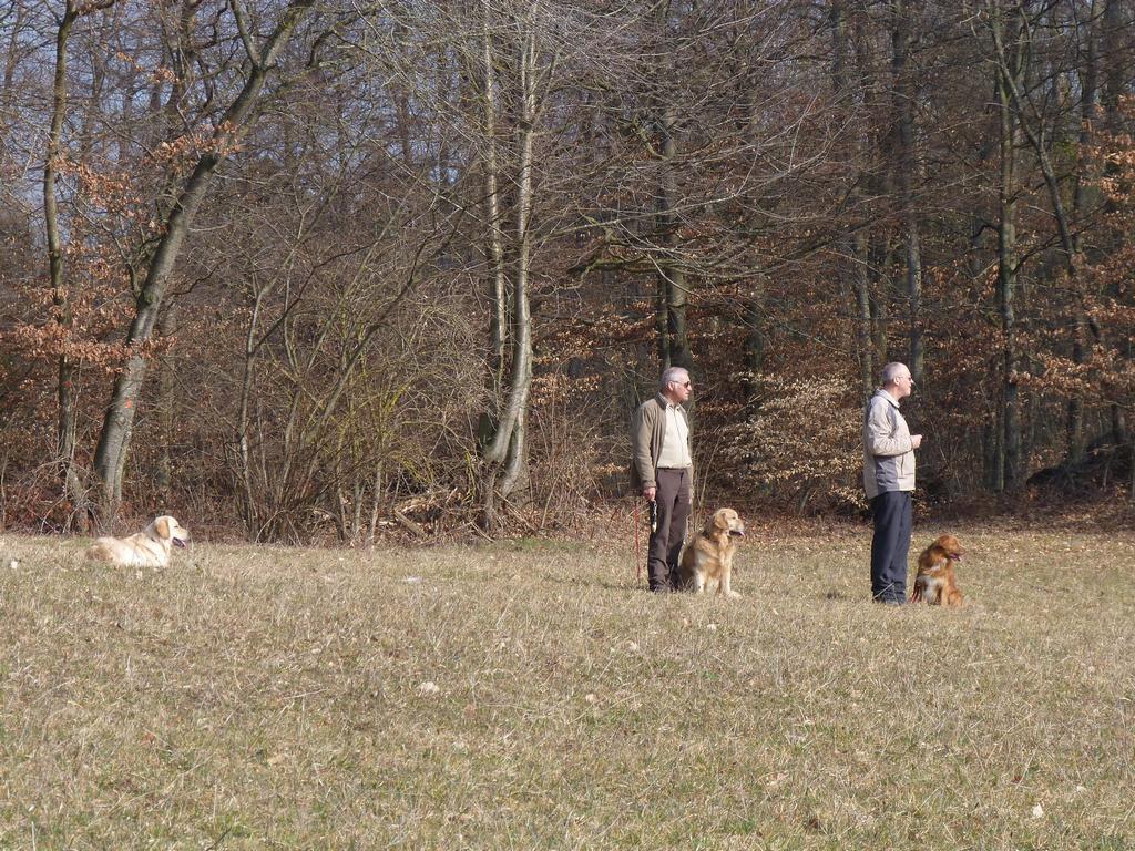 Clic pour l'image suivante