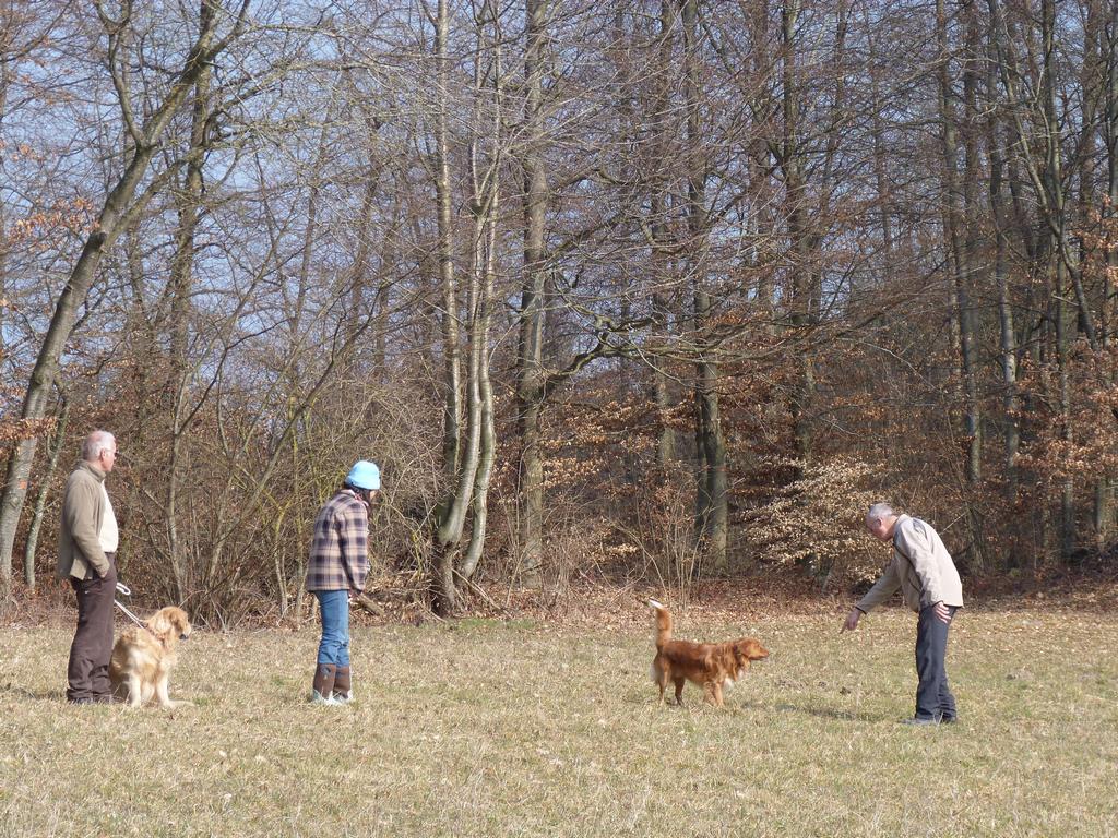 Clic pour l'image suivante