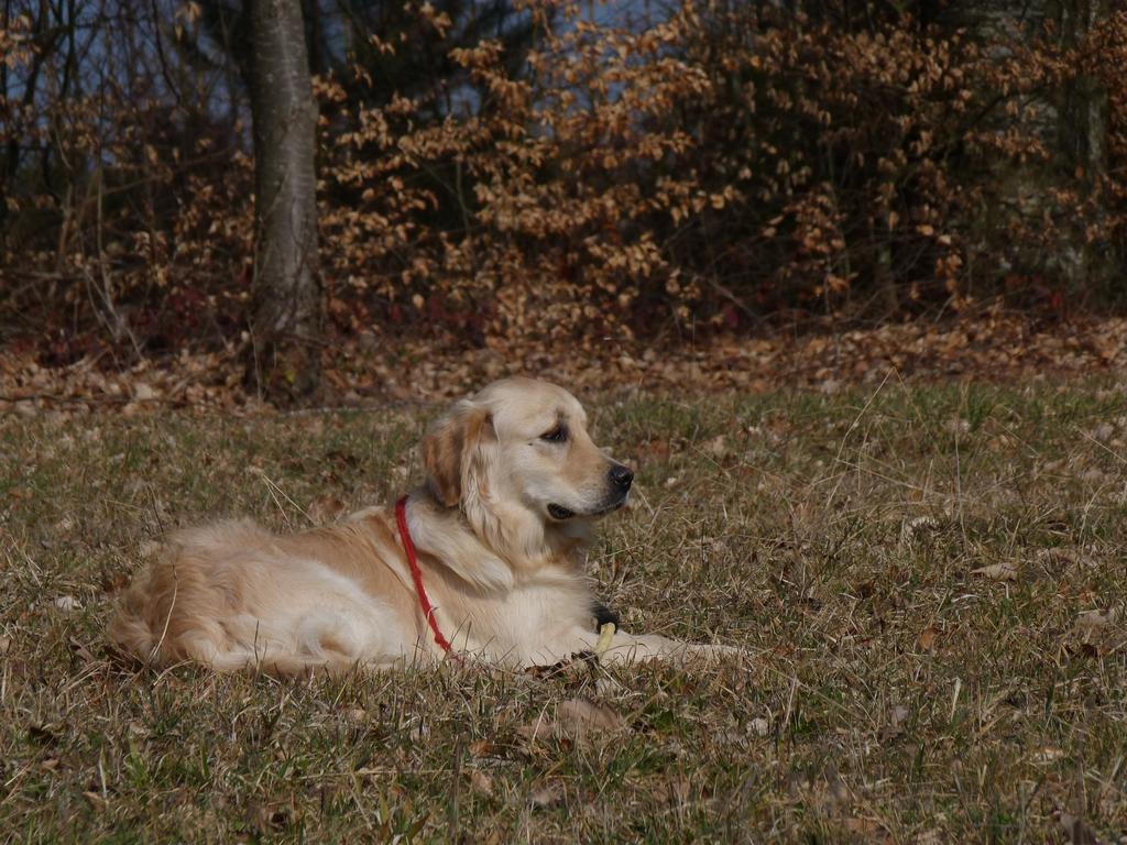 Clic pour l'image suivante