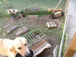 Clic pour agrandir l'image (1024x768 pixels; 223 KB)