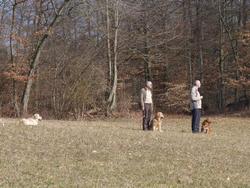 Clic pour agrandir l'image (1024x768 pixels; 237 KB)