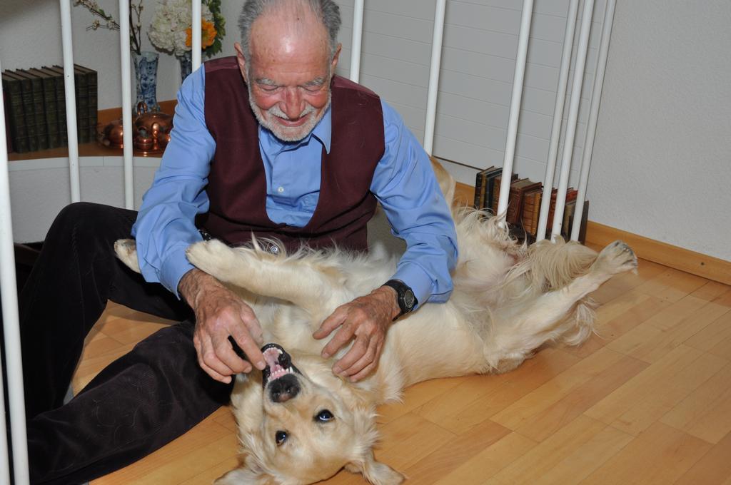 Clic pour l'image suivante