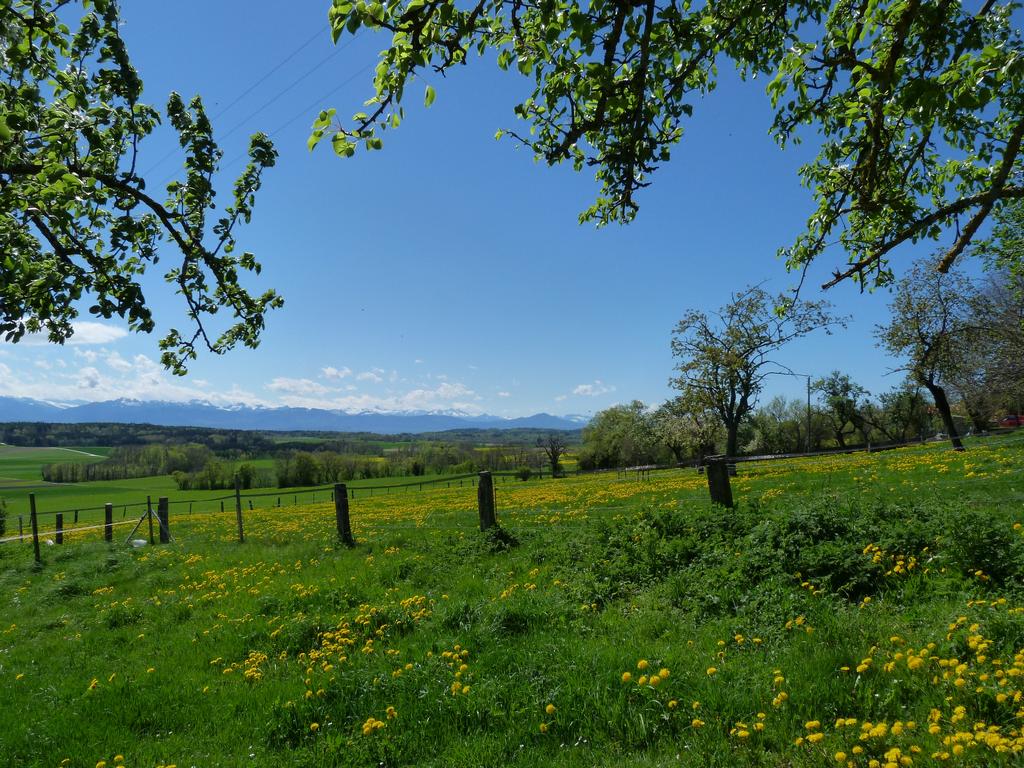 Clic pour l'image suivante