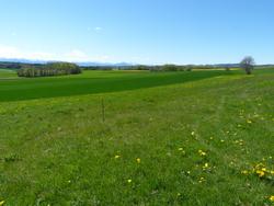 Clic pour agrandir l'image (1024x768 pixels; 132 KB)