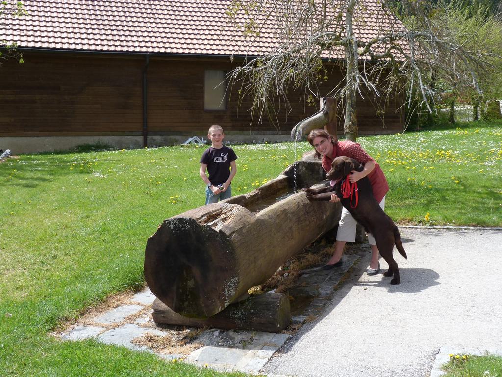 Clic pour l'image suivante