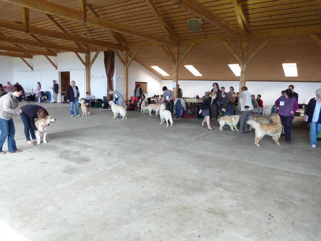 Clic pour l'image suivante