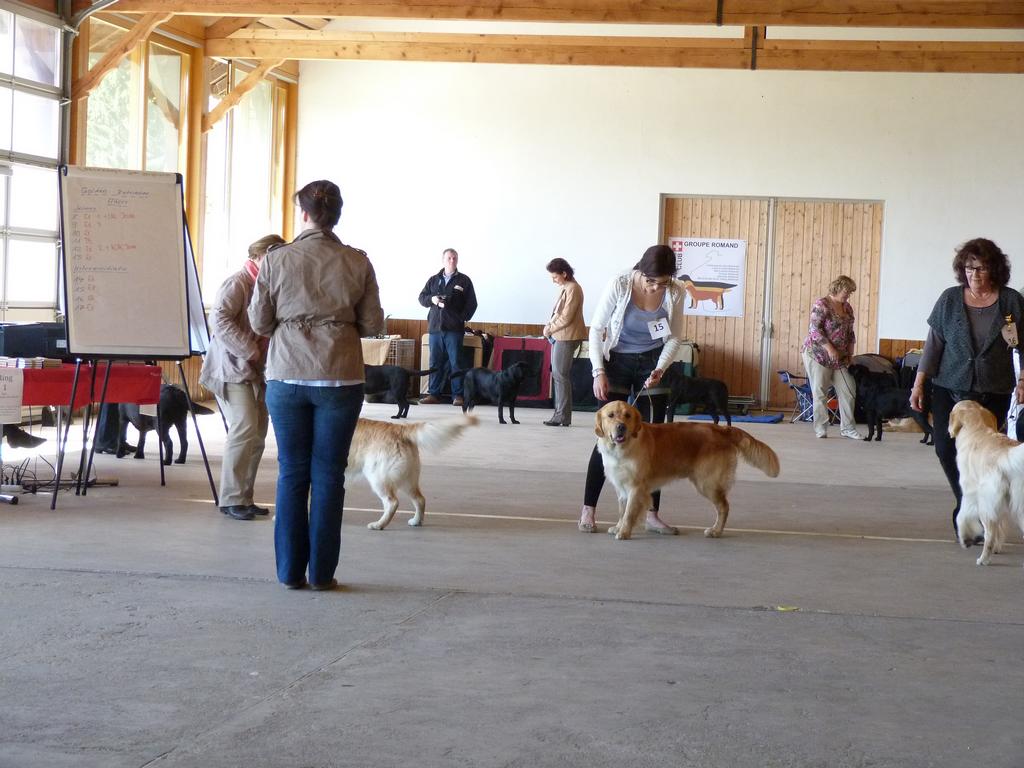 Clic pour l'image suivante