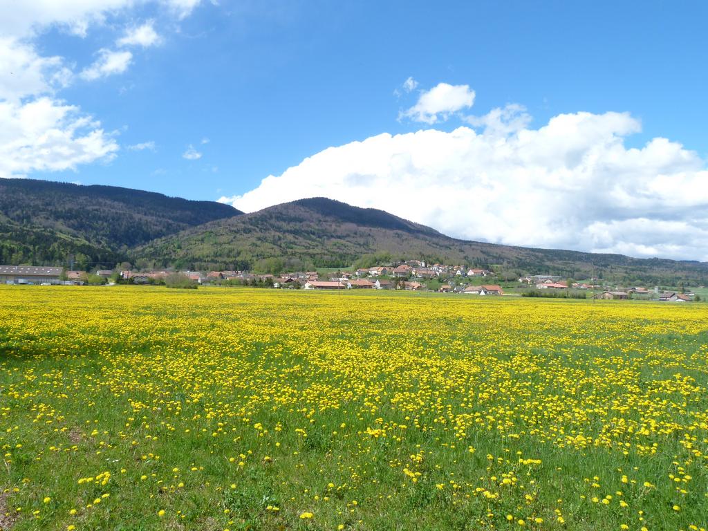 Clic pour l'image suivante