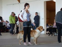 Clic pour agrandir l'image (1024x768 pixels; 79 KB)