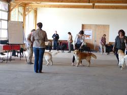 Clic pour agrandir l'image (1024x768 pixels; 102 KB)