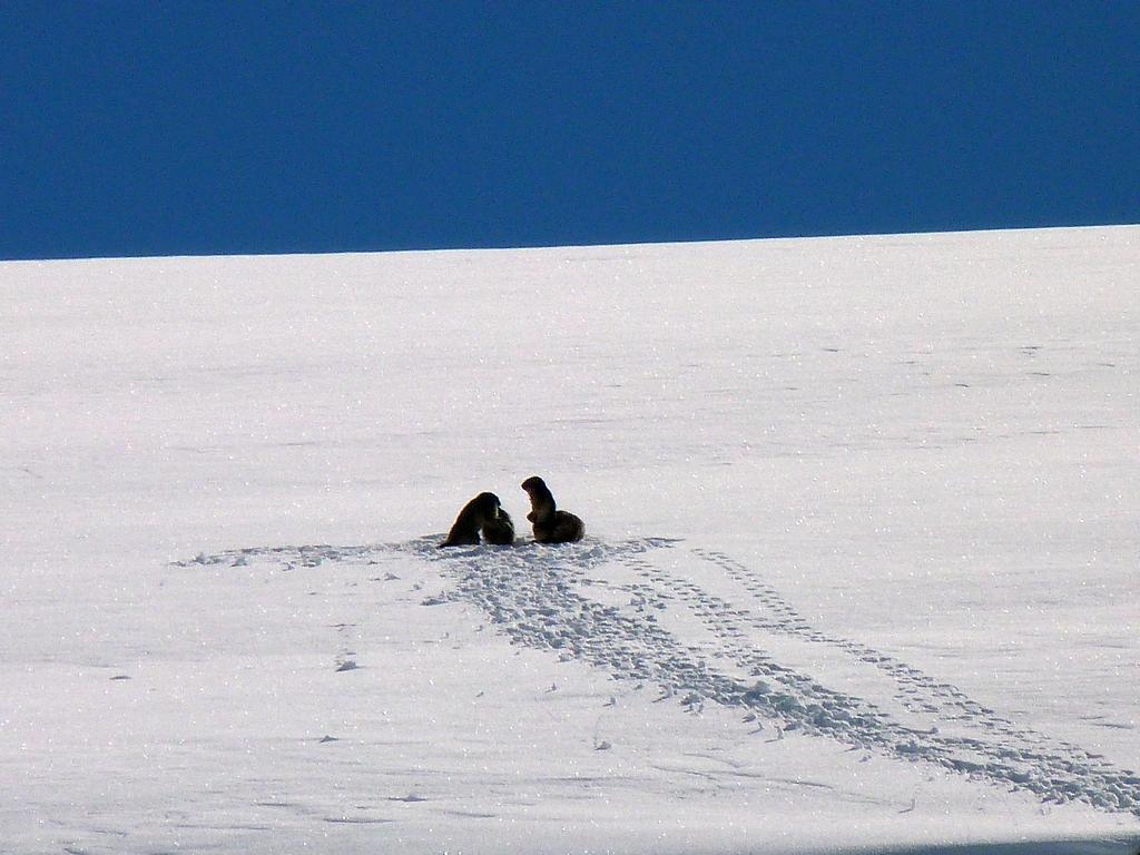 Clic pour l'image suivante