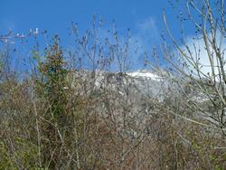 Clic pour agrandir l'image (1024x768 pixels; 207 KB)