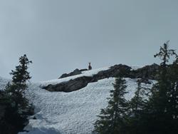 Clic pour agrandir l'image (1024x768 pixels; 91 KB)