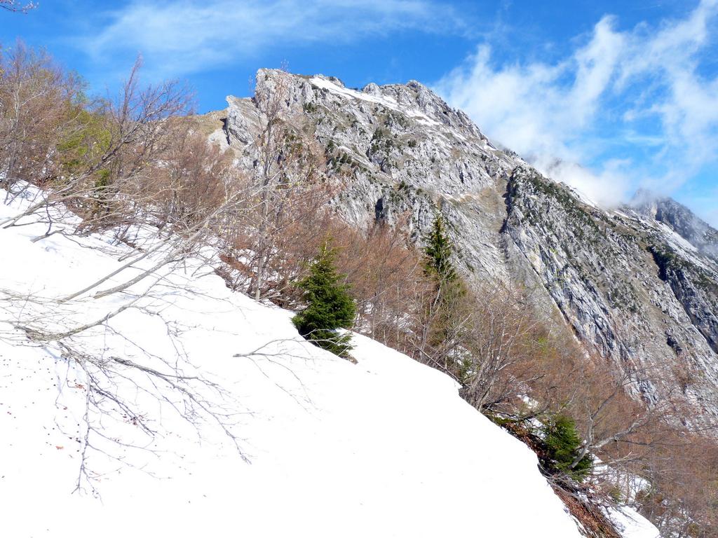 Clic pour l'image suivante