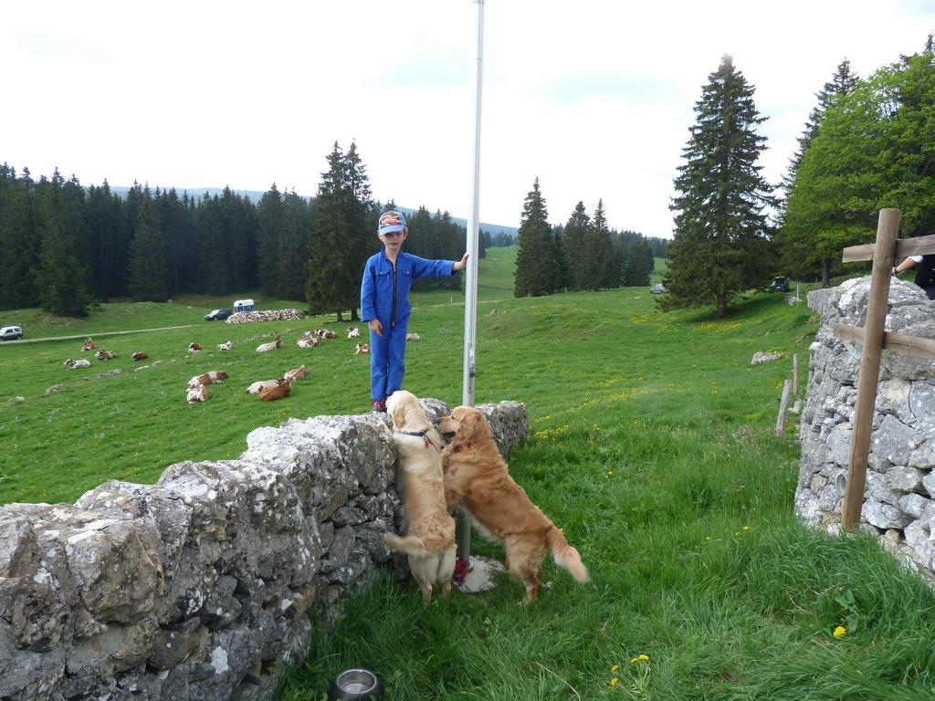 Clic pour l'image suivante