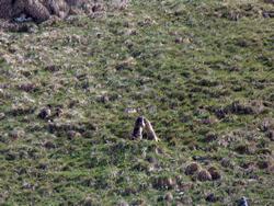 Clic pour agrandir l'image (1024x768 pixels; 266 KB)