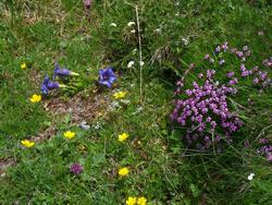 Click to see big picture (1024x768 pixels; 250 KB)