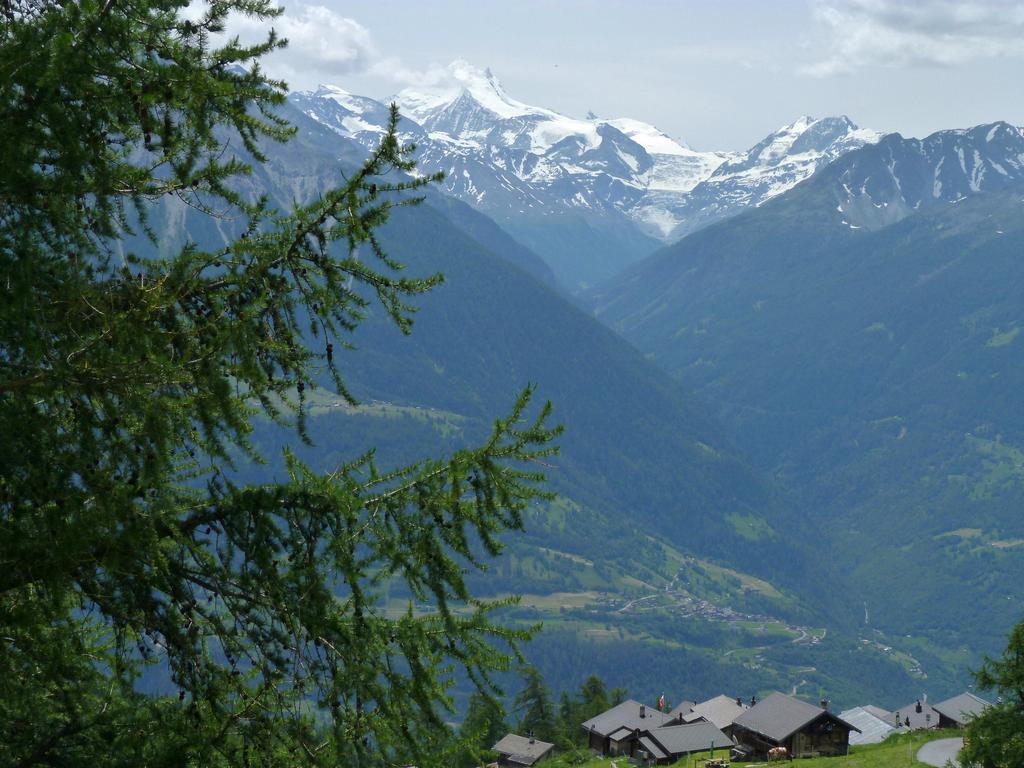 Click to see next picture