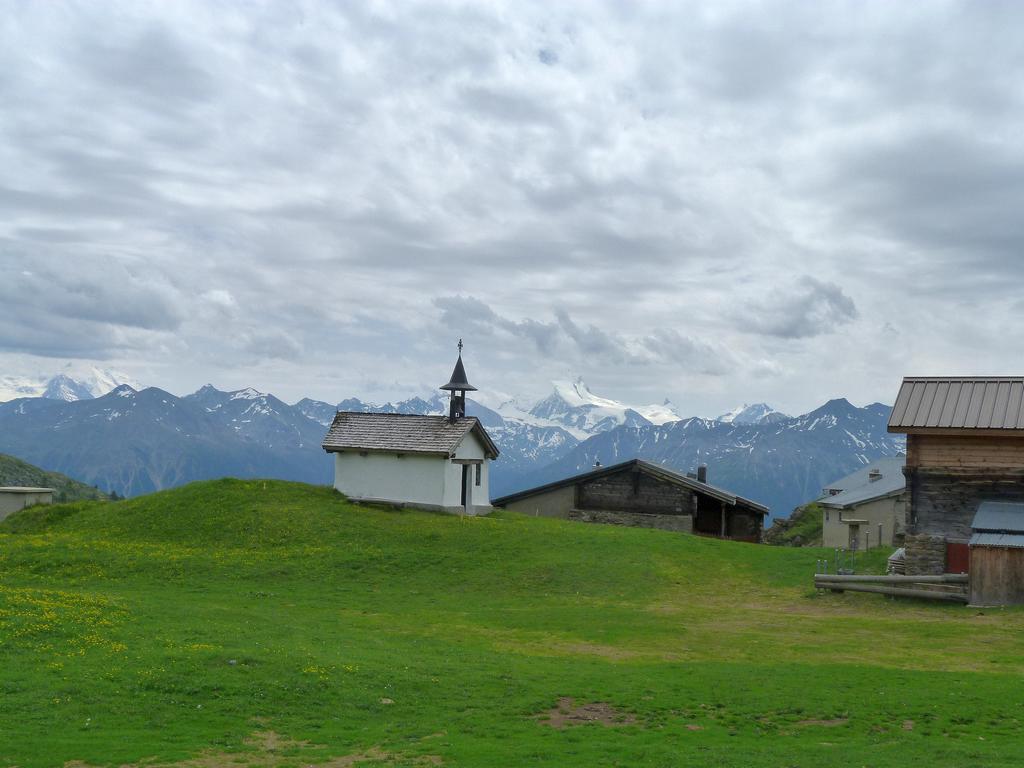 Click to see next picture