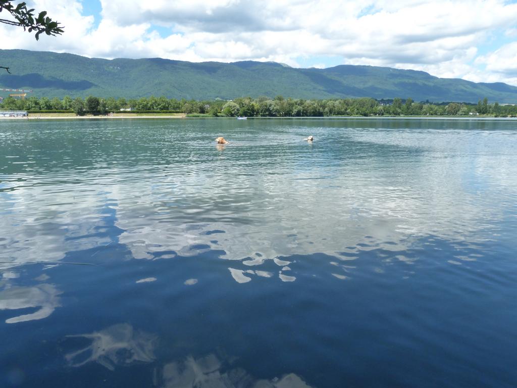 Clic pour l'image suivante