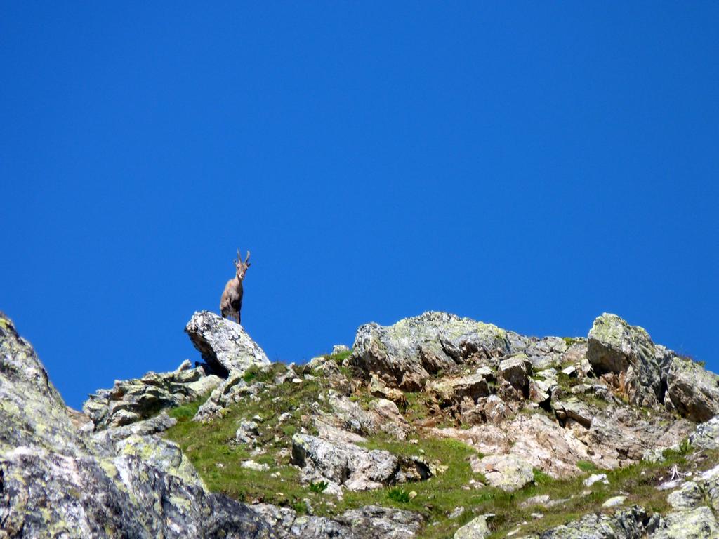 Clic pour l'image suivante