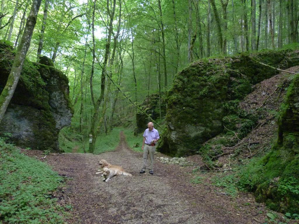 Clic pour l'image suivante