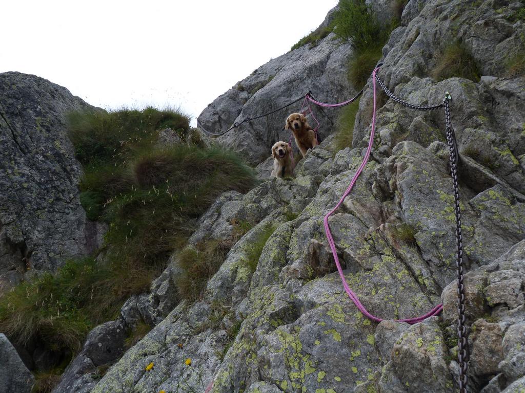 Clic pour l'image suivante