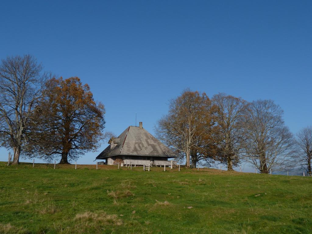 Clic pour l'image suivante