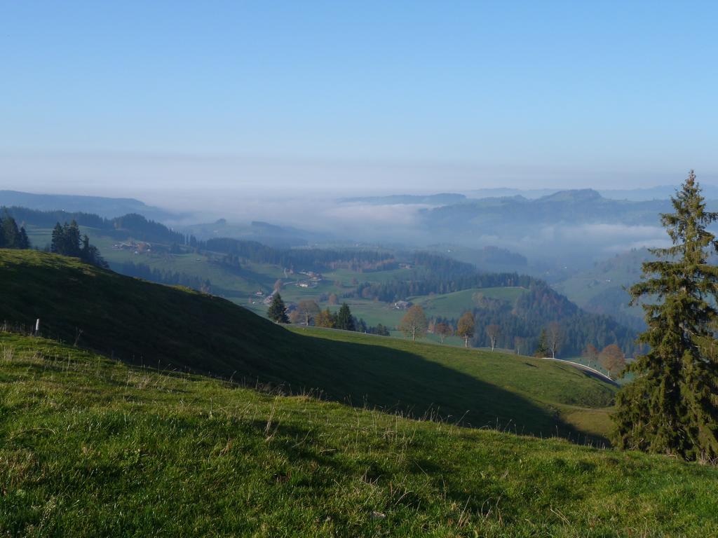 Clic pour l'image suivante