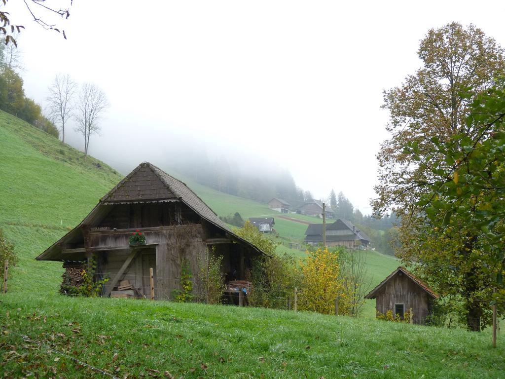 Clic pour l'image suivante