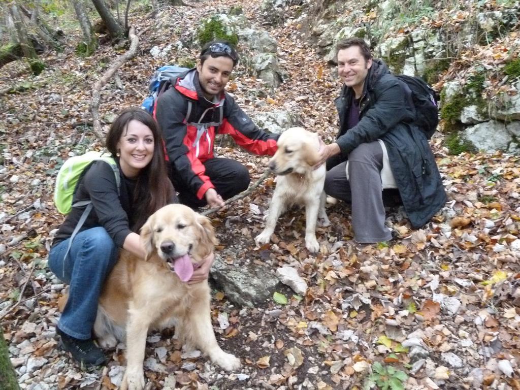 Clic pour l'image suivante