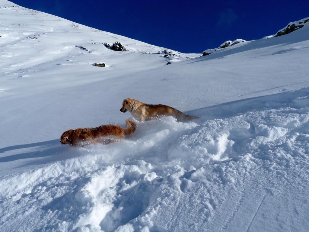 Clic pour l'image suivante