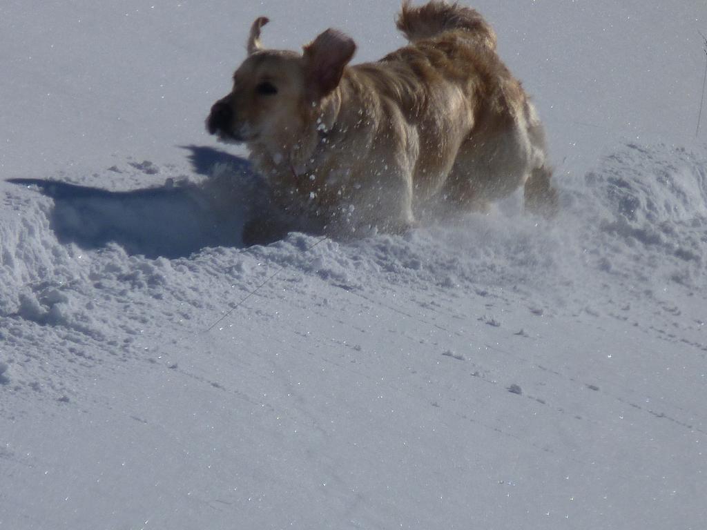 Clic pour l'image suivante