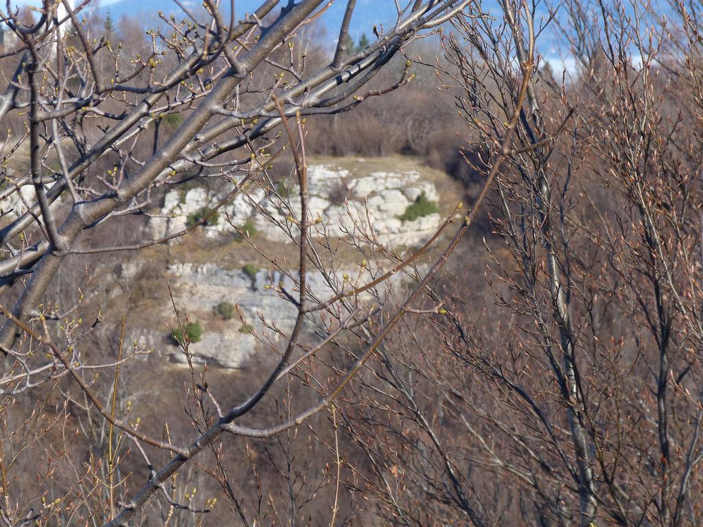 Clic pour l'image suivante