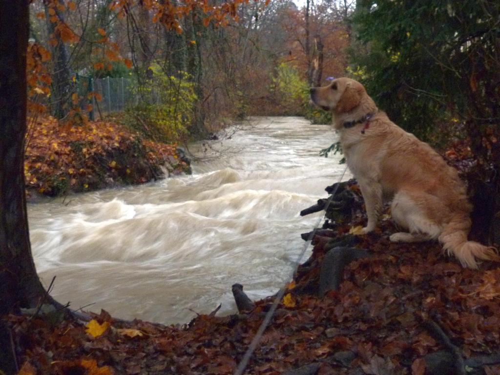 Clic pour l'image suivante