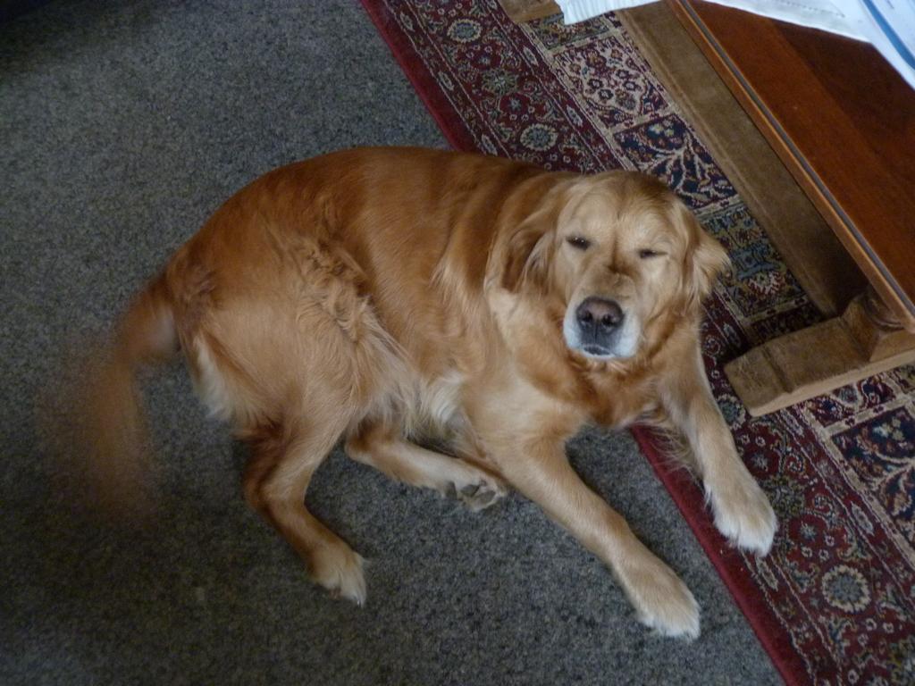 Clic pour l'image suivante