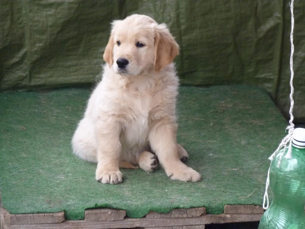 Clic pour l'image suivante