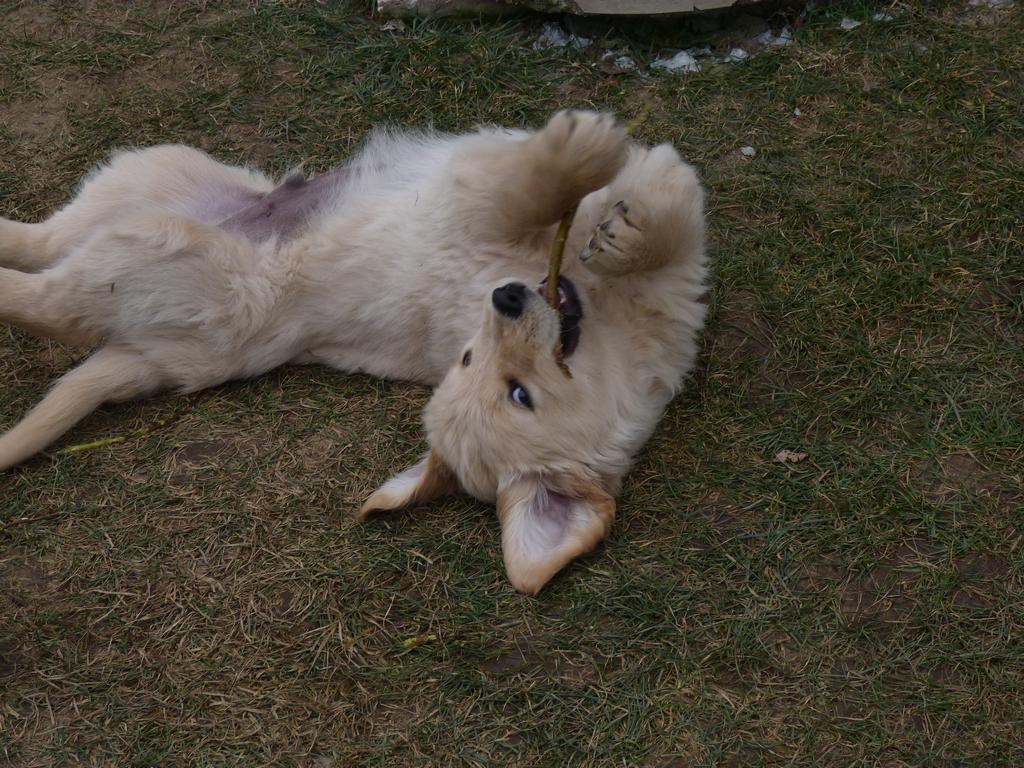 Clic pour l'image suivante