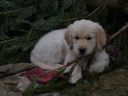 Clic pour agrandir l'image (1024x768 pixels; 119 KB)