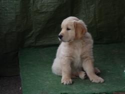 Clic pour agrandir l'image (1024x768 pixels; 60 KB)