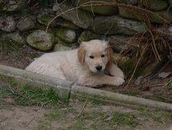 Clic pour agrandir l'image (1024x768 pixels; 138 KB)