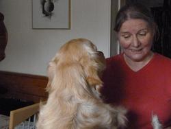 Clic pour agrandir l'image (1024x768 pixels; 97 KB)