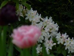 Clic pour agrandir l'image (1024x768 pixels; 80 KB)