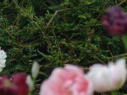 Clic pour agrandir l'image (1024x768 pixels; 166 KB)