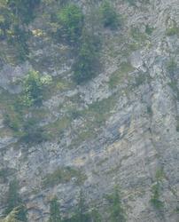 Clic pour agrandir l'image (621x768 pixels; 91 KB)