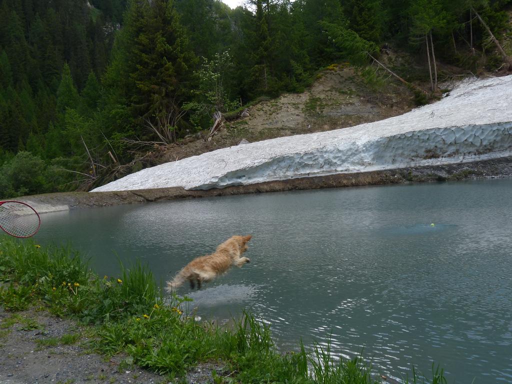 Clic pour l'image suivante